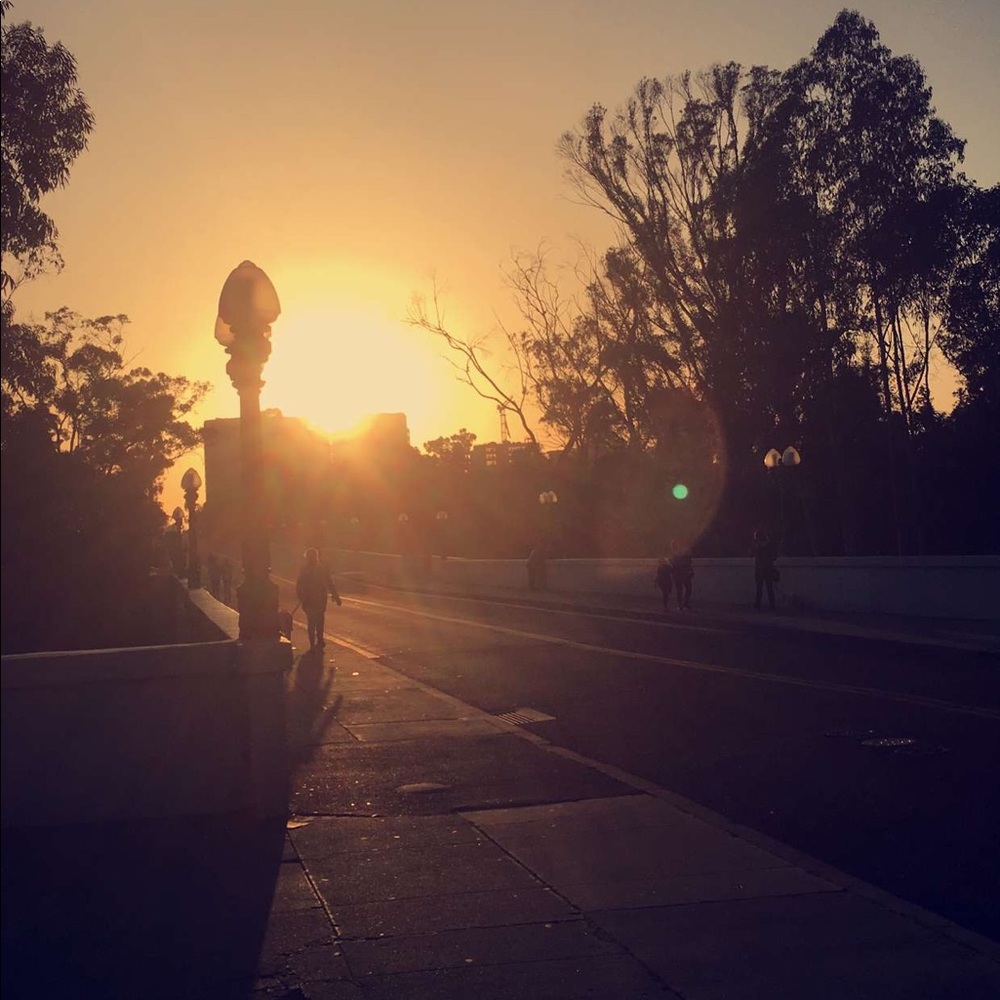 Meet your Posher, Autumn